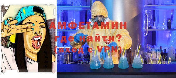 шишки Новозыбков