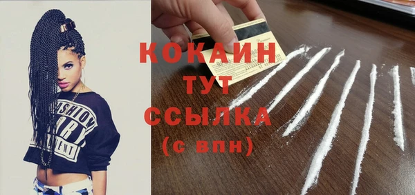 стаф Абинск