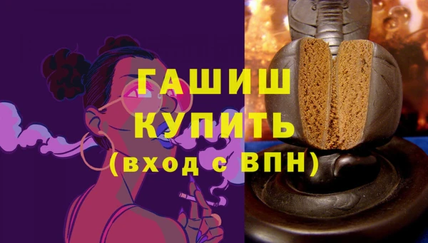 стаф Ельня